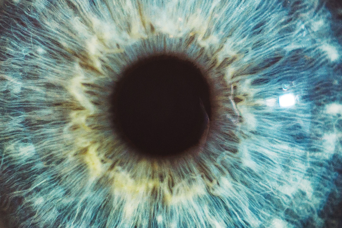 Under The Lens: Link Between Macular Degeneration And Retinitis Pigmentosa