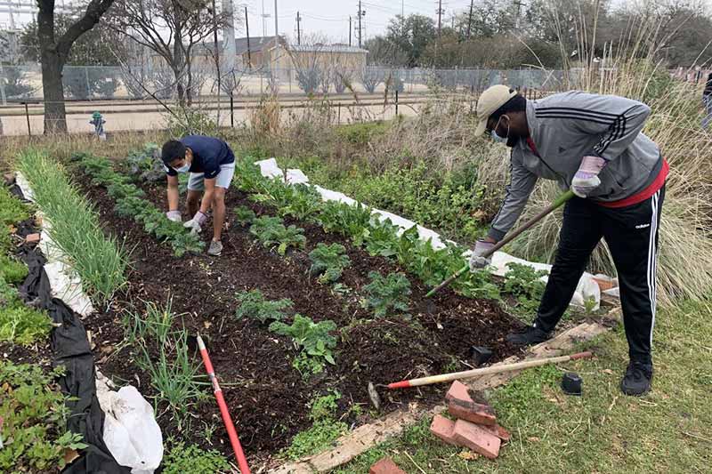 UH NSBE members volunteering at a previous community event at the Blodgett Urban Gardens.