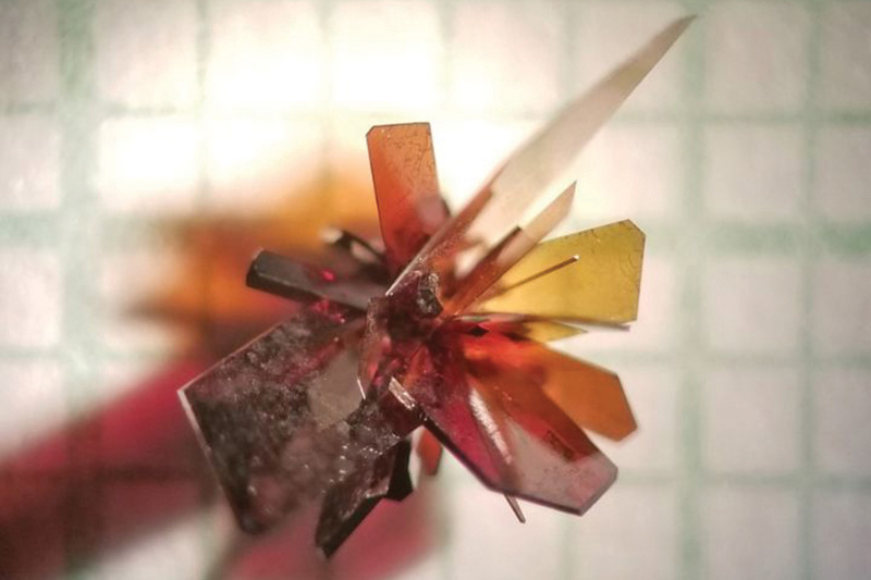 Boron Arsenide Single Crystals