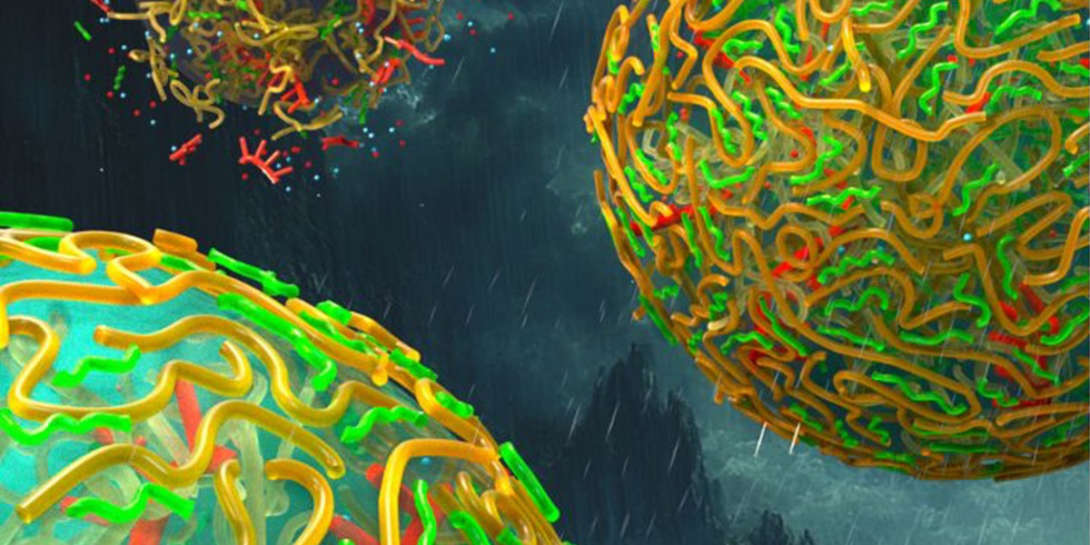 Graphic enlargement of rainwater that could have helped create a meshy wall around protocells 3.8 billion years ago, a critical step in the transition from tiny beads of RNA to every bacterium, plant, animal, and human that ever lived. (UChicago Pritzker School of Molecular Engineering / Peter Allen, Second Bay Studios)