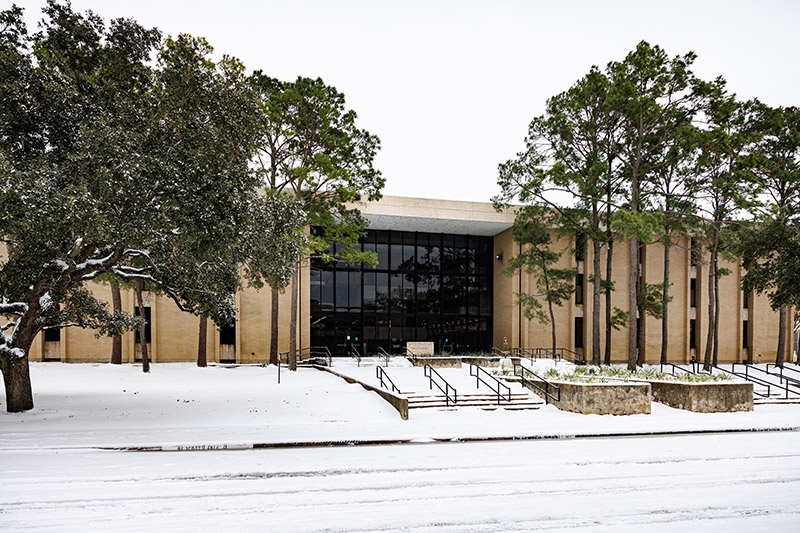 Winter Wonderland