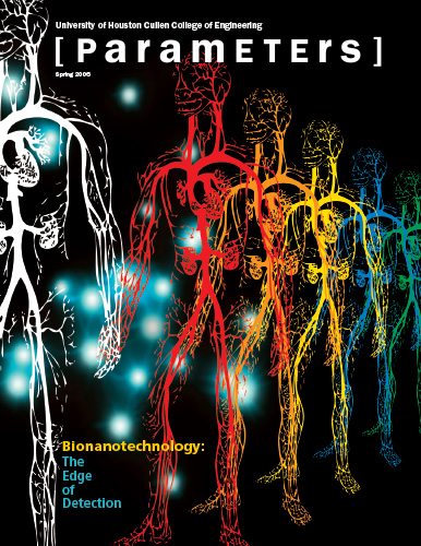 Bionanotechnology: The Edge of Detection
