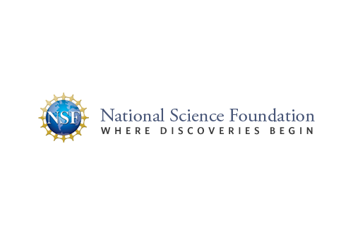 NSF REU