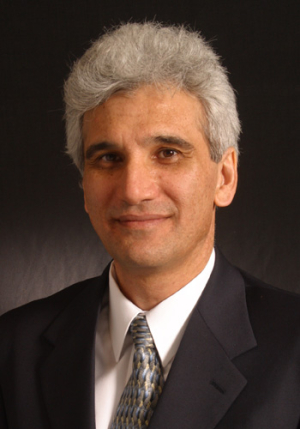 Haluk Ogmen