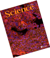 Science