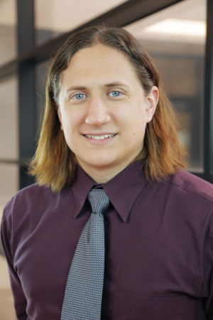 David Mayerich