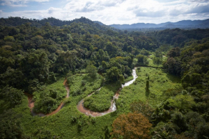 Honduras