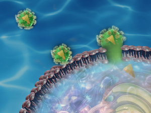 Illustration of an HIV cell entering a host cell via membrane softening 