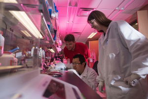 In the blood lab, where everything seems cast in red, are from left, Sergey Shevkoplyas, associate professor of biomedical engineering, and post doc fellows Hui Xia and Briony Strachan