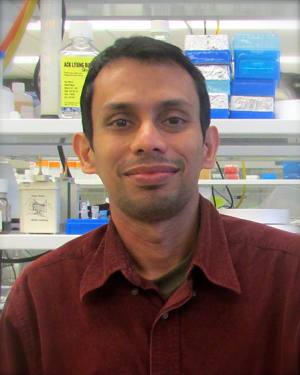 Simanta Pathak, post-doctoral research scientist in Chandra Mohan's lab