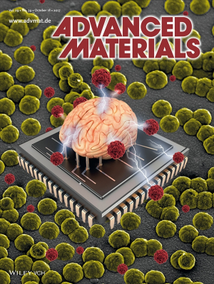 Mohammad Reza Abidian's research appears on the cover of the October issue of Advanced Materials