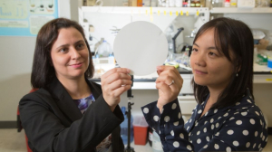 Debora Rodrigues (left) and Yandi Hu hold mesh polyamide filter they will modify to advance water purification