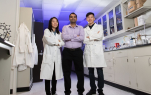 Wendy Lang, Sashank Kasiraju and Wei Qin in the lab where award-winning work takes place