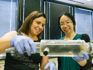 Debora Rodrigues, left, and Stacey Louie, both faculty members in the Cullen College of Engineering, are using a reactor built to simulate the intestines of a pig to study ways to combat antibiotic resistance.