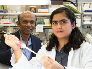 At left, Chandra Mohan, Hugh Roy and Lillie Cranz Cullen Endowed Professor of biomedical engineering, with graduate student Sanam Soomro 