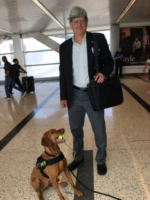 UH Cullen College of Engineering professor Stuart Long with another successful TSA explosives-detecting pup.