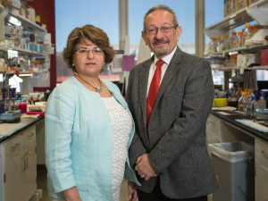 Married for 44 years, Muna Naash, left, and Muayyad Al Ubaidi are partners in the lab, too, where they are examining the protein peripherin2 and its link to blinding eye diseases.