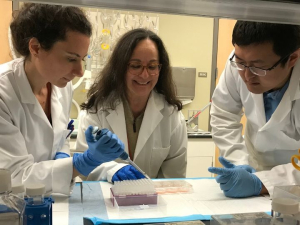 The Akay Lab biomedical research team includes (l-r) research assistant professor Naze Gul Avci, assistant professor Yasmine Akay and post-doctoral fellow Hui Xia.