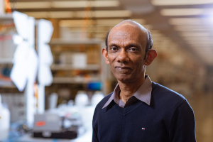 Dr. Chandra Mohan, the Hugh Roy and Lillie Cranz Cullen Endowed Professor in Biomedical Engineering at the Cullen College of Engineering, has been given a $300,000 award by the Lupus Research Alliance.