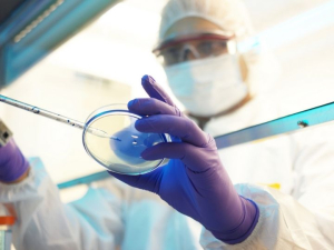 The ultimate goal of the Drug Discovery Institute research program is to bring scientific discoveries and technological advances to the marketplace. [Photo from Getty Images.]
