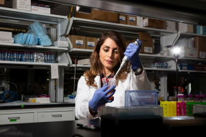 Sheereen Majd, assistant professor of biomedical engineering, is co-PI on a $481,000 grant to develop a simple, safe and efficient system to deliver macromolecules to a cell’s interior.