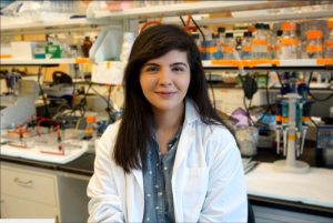 Mashal Kakakhel, now a first year medical student, was lead author for a paper shedding light on how rod and cone photoreceptors in the eye work and interact. The work was done with Dr. Muna Naash, the John S. Dunn Endowed Professor of Biomedical Engineering. 