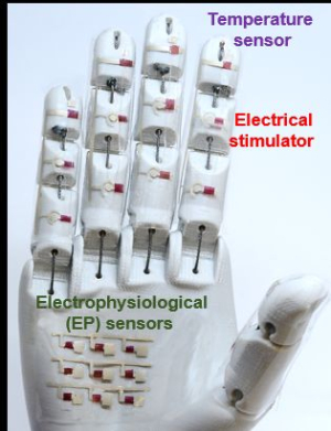 Medical Robotic Hand? Rubbery Semiconductor Makes It Possible 