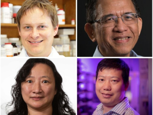 New senior members of the National Academy of Inventors are (top row, l-r) Jason Eriksen, associate professor of pharmacology and Hung “Harry” Le, instructional assistant professor of electrical and computer engineering (bottom row, l-r) Yuhua Chen and Yan Yao, both associate professors of electrical and computer engineering