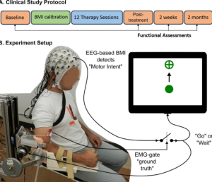 Testing showed most patients retained the benefits for at least two months after the therapy sessions ended, suggesting the potential for long-lasting gains. 