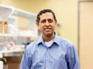 Navin Varadarajan, M.D. Anderson Professor of chemical and biomolecular engineering, studied the dynamic interactions between T cells and tumor cells to determine which patients are likely to respond to CAR T-cell therapy to treat lymphoma.