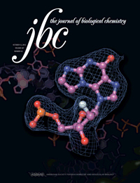 Journal of Biological Chemistry