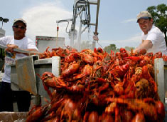 Offshore Industry Crawfish Boil