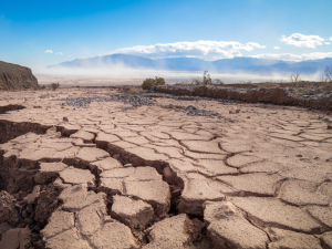 Mitigating Natural Disasters