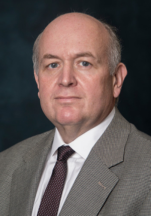 Dmitri Litvinov