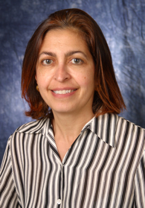 Hanadi S. Rifai