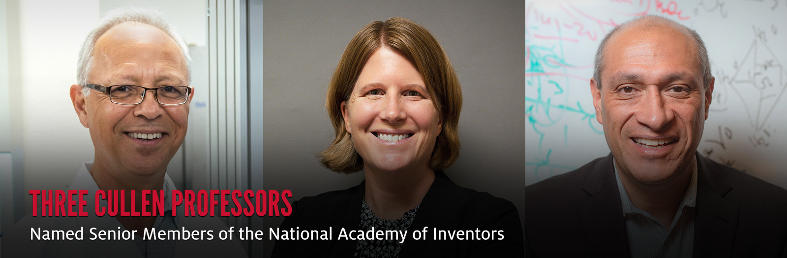 Three Cullen Professors Named Senior Members of the National Academy of Inventors