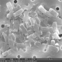 An electron micrograph image shows a colony of bacteria including extracellular polymeric substances which contributes to biofilm formation on a water filtration membrane.