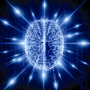 Video: Brain Machine Interface Conference 2013