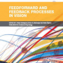 Feedforward and Feedback Processes in Vision