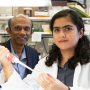 At left, Chandra Mohan, Hugh Roy and Lillie Cranz Cullen Endowed Professor of biomedical engineering, with graduate student Sanam Soomro 