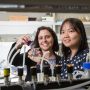 Debora Rodrigues and Yandi Hu, associate professors at the UH Cullen College of Engineering, are collaborating to address water purification issues.