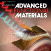 UH wearable electronics research featured as back cover article in Advanced Functional Materials.