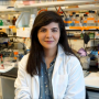 Mashal Kakakhel, now a first year medical student, was lead author for a paper shedding light on how rod and cone photoreceptors in the eye work and interact. The work was done with Dr. Muna Naash, the John S. Dunn Endowed Professor of Biomedical Engineering. 
