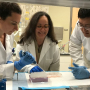 Yasemin Akay works with students in the lab. Findings have reported that perinatal substance abuse may cause faulty assembly of certain brain networks.