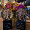 The Communications Department of the University of Houston's Cullen College of Engineering took home two honors from the 35th annual American Marketing Association Houston Crystal Awards 2021 at a ceremony at the Armadillo Palace on May 19. 