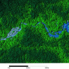 A section of Honduran rainforest mapped by NCALM researchers. The center will use the same LiDAR technology to create a much larger map of the Tahoe National Forest. A section of Honduran rainforest mapped by NCALM researchers. The center will use the same LiDAR technology to create a much larger map of the Tahoe National Forest.