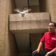 UH Professor Gino Lim with a student and a flying drone, a technology with lot of potential to provide cost-effective healthcare to rural Americans.