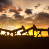 Projects funded by the Center for Carbon Management in Energy will tackle new ways to reduce carbon emissions. Photo: Getty Images.