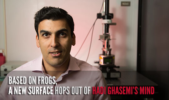 Based on Frogs, a New Surface Hops Out of Hadi Ghasemi’s Mind