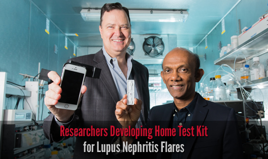 Researchers Developing Home Test Kit for Lupus Nephritis Flares